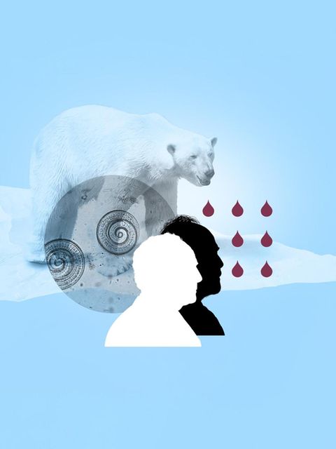 Illustration Muskelschmerzen und Fieber: zwei Männerköpfe und ein Eisbär