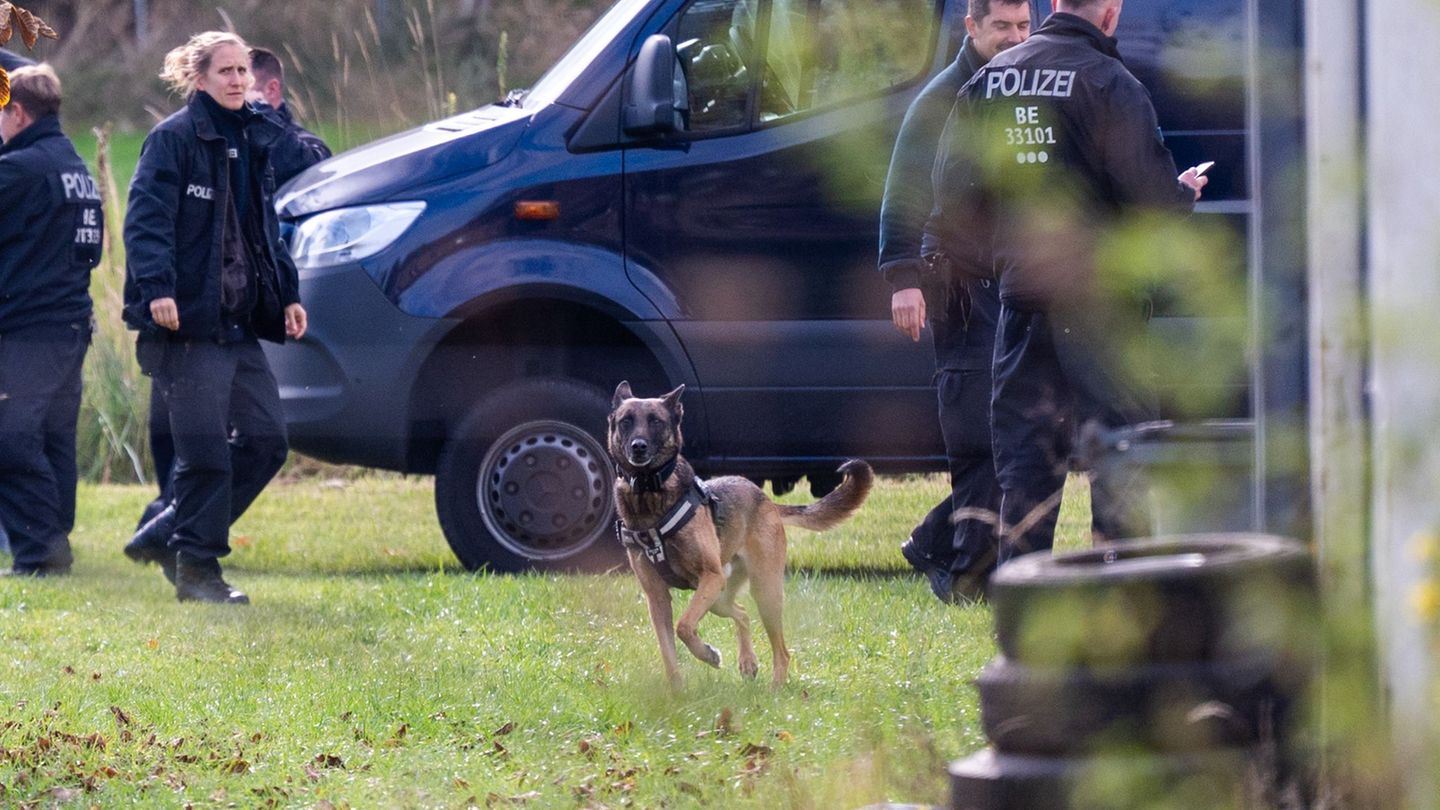 Leichenspürhund durchsuchen das Grundstück. Foto: Christophe Gateau/dpa