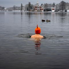 Kälte: Man schwimmt im Winter im See