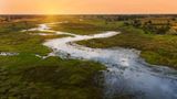 Willkommen im Safari-Paradies! In Botswana streifen Elefanten und Löwen durch die weiten Savannen-Landschaften. Nachts lohnt ein Blick auf die unzähligen Sterne am Himmel