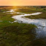 Willkommen im Safari-Paradies! In Botswana streifen Elefanten und Löwen durch die weiten Savannen-Landschaften. Nachts lohnt ein Blick auf die unzähligen Sterne am Himmel