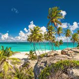 Auf der Insel Barbados in der Karibik erwarten Besucher Erlebnisse in der Stadt und in der Natur: schnorcheln in der Bucht von Carlisle, Museen und Shopping in Bridgetown. Für den Hunger am Freitagabend bietet sich ein Besuch auf dem legendären Fish Fry in Oistins an