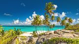 Auf der Insel Barbados in der Karibik erwarten Besucher Erlebnisse in der Stadt und in der Natur: schnorcheln in der Bucht von Carlisle, Museen und Shopping in Bridgetown. Für den Hunger am Freitagabend bietet sich ein Besuch auf dem legendären Fish Fry in Oistins an