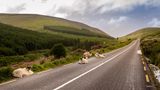 Malerische Landschaften mit sanften Hügeln: Das ist Irland. Dort begeistern das Tal Glen of Aherlow und die Galtee Mountains. Zu den historischen Sehenswürdigkeiten zählen der Rock of Cashel und die Mitchelstown-Höhle. Abendliches Programm gibt es in den kuscheligen Pubs