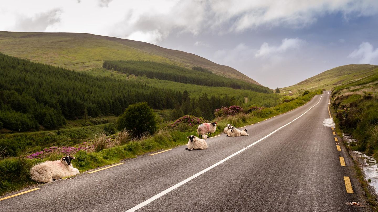 Irland Malerische Landschaften mit sanften Hügeln: Das ist Irland. Dort begeistern das Tal Glen of Aherlow und die Galtee Mountains. Zu den historischen Sehenswürdigkeiten zählen der Rock of Cashel und die Mitchelstown-Höhle. Abendliches Programm gibt es in den kuscheligen Pubs