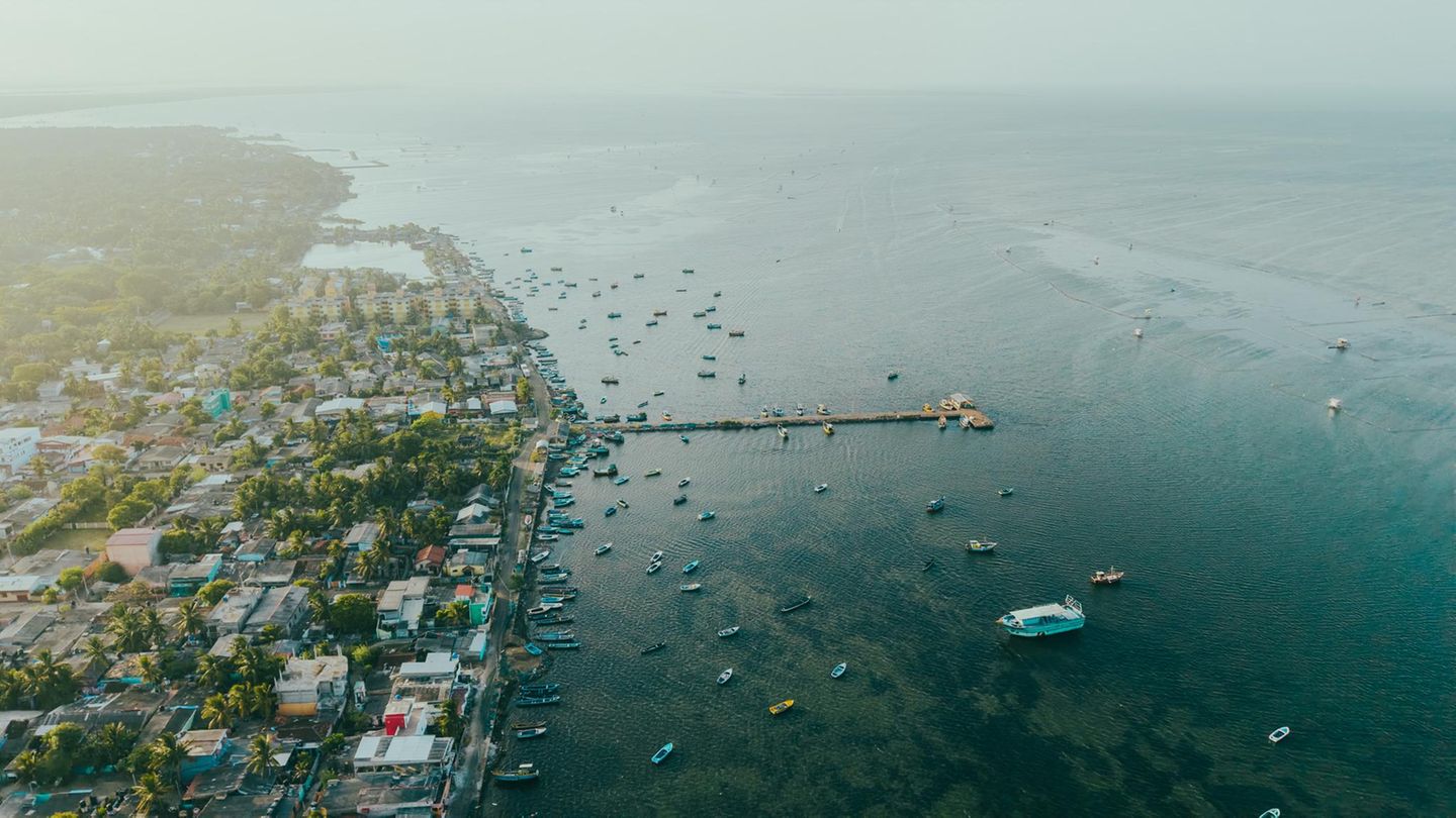 Sri Lanka Das kulturelle Zentrum Sri Lankas, Jaffna, begeistert mit Tempeln, Märkten und historischen Stätten wie dem Jaffna Fort. Gut zu erreichen ist Delft Island. Die Insel ist bekannt für ihre Korallenmauern, traditionellen Häuser und familiären Homestays. Mit Fähren gelangen Reisende nach Nainativu – einer Insel mit heiligen Tempeln für Hindus und Buddhisten