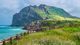 Hier befinden Sie sich nicht in Schottland, sondern in Jeju-do. Die südkoreanische Provinz und Insel ist bekannt als Outdoor-Spielplatz und macht diesem Namen alle Ehre: Besucher können am Hallasan-Vulkan entlangwandern, über 27 Radwege einmal um die gesamte Insel rollen und in Seogwipo tauchen. Romantik verspricht der Sonnenaufgang am Seongsan Ilchulbong