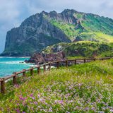Hier befinden Sie sich nicht in Schottland, sondern in Jeju-do. Die südkoreanische Provinz und Insel ist bekannt als Outdoor-Spielplatz und macht diesem Namen alle Ehre: Besucher können am Hallasan-Vulkan entlangwandern, über 27 Radwege einmal um die gesamte Insel rollen und in Seogwipo tauchen. Romantik verspricht der Sonnenaufgang am Seongsan Ilchulbong