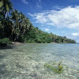 Noch wenig besucht: die Salomonen. In den Korallenriffen zwischen den Inseln leben so viele verschiedene Meeresbewohner wie sonst in kaum einem anderen Riff auf der Welt. Wer sich lieber über der Wasseroberfläche umsieht, den locken das bergige Inland und heiße Wasserfälle auf Savo Island. Bis heute bestehen Traditionen wie Muschelgeld auf Malaita oder Totenschädel-Schreine