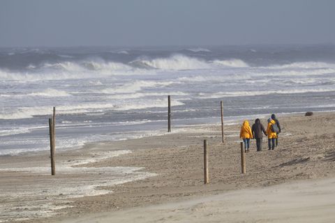 Vor allem an der Küste besteht laut dem Wetterdienst die Gefahr von orkanartigen Böen. (Archivbild) Foto: Volker Bartels/dpa