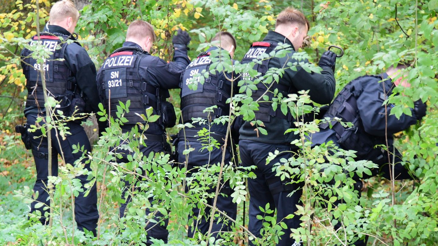 Polizisten durchsuchen einen Wald und eine Wiese. Foto: Danilo Dittrich/dpa
