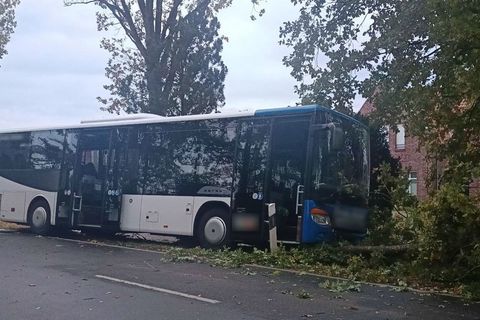Ein elf Jahre altes Mädchen starb, als sie mit ihrem Fahrrad auf die Straße fuhr und von einem Bus erfasst wurde. Foto: NWM-TV/d