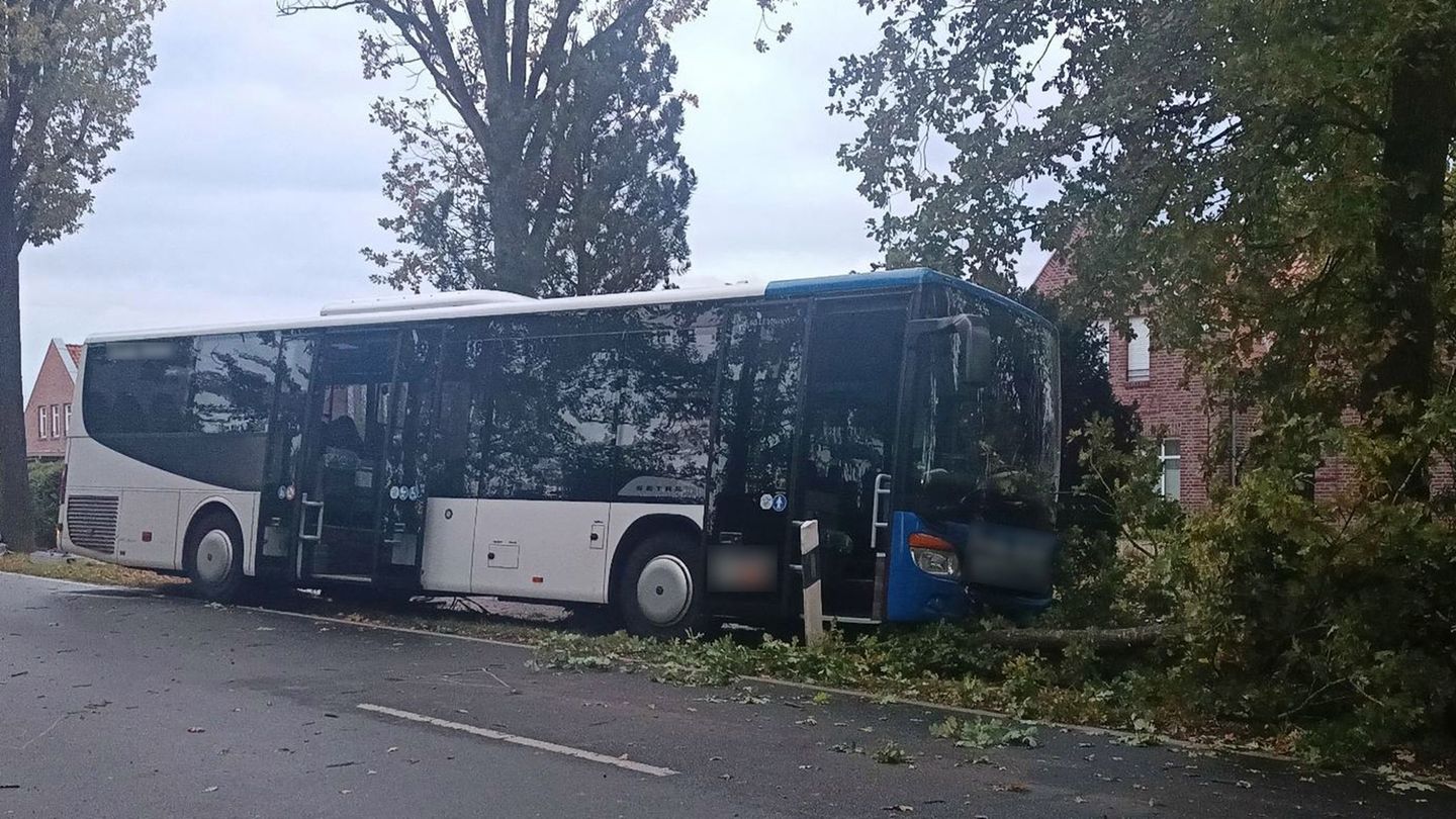 Ein elf Jahre altes Mädchen starb, als sie mit ihrem Fahrrad auf die Straße fuhr und von einem Bus erfasst wurde. Foto: NWM-TV/d
