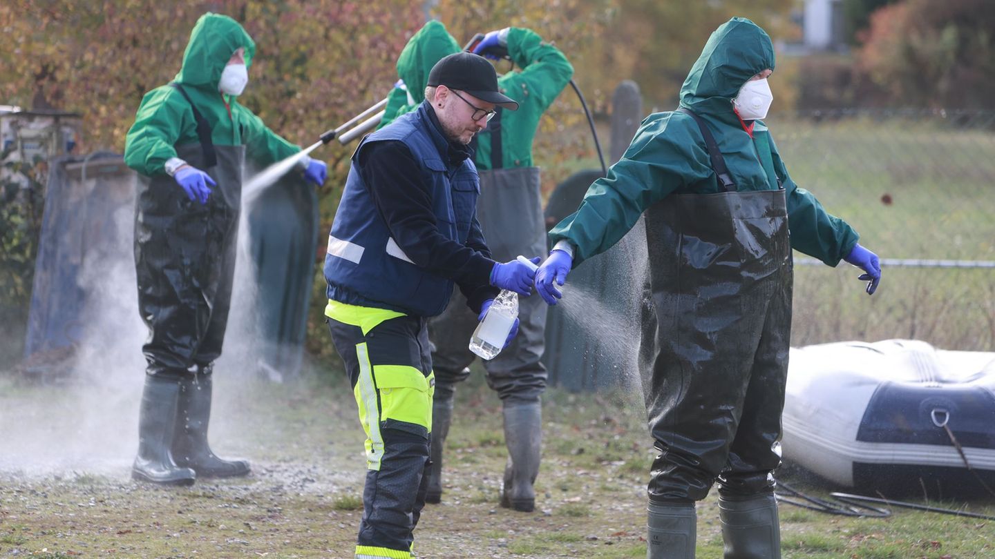 Die Thüringer Behörden haben Maßnahmen gegen eine weitere Ausbreitung der Vogelgrippe ergriffen. (Archivbild) Foto: Matthias Bei