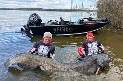 Zwei Angler in Polen haben einen fast drei Meter langen Wels gefangen. (Foto Handout) Foto: Polska Akademia Wedkarska/dpa