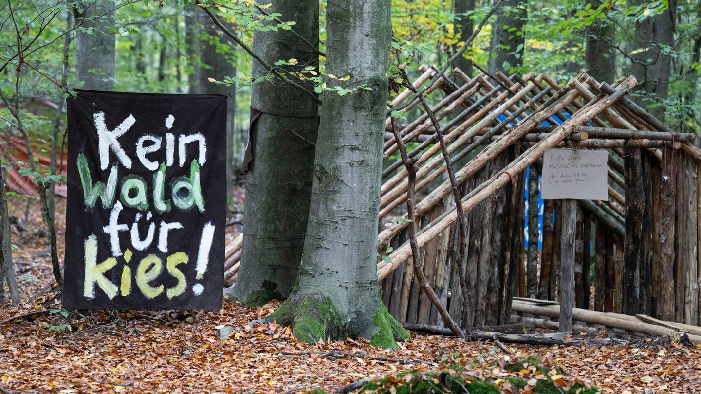 Die Aktivisten haben eine klare Forderung: sie wollen den Wald erhalten. Foto: Boris Roessler/dpa