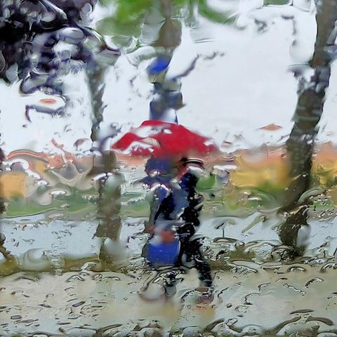 Eine Person geht mit aufgespanntem Schirm durch regnerisches Wetter