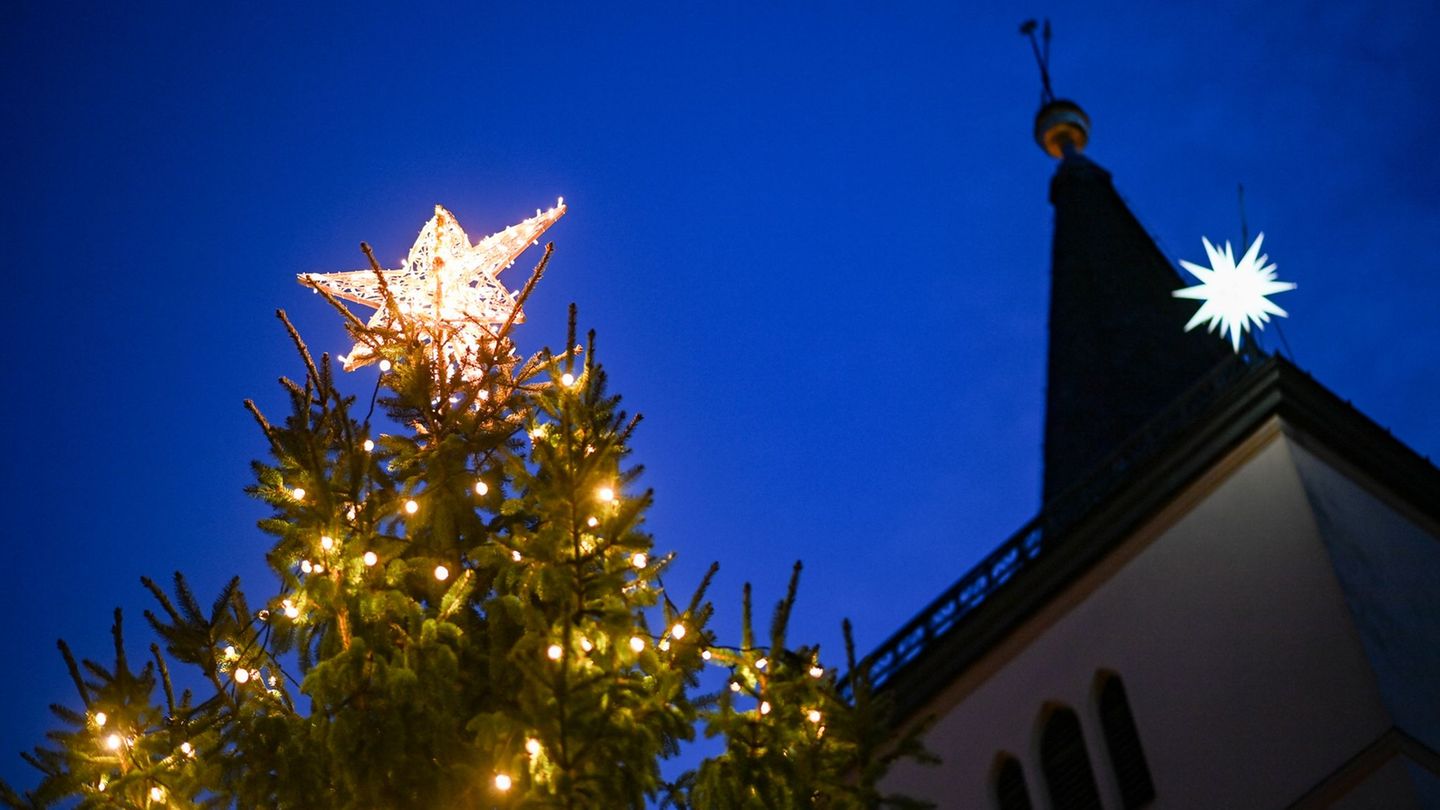 Die Stadt Beelitz spart an Weihnachtsbäumen: Die Exemplare für die Marktplätze fallen in diesem Jahr kleiner aus. (Archivbild) F