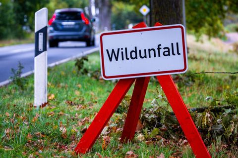 Vielerorts wird mit Schildern vor Wildunfällen gewarnt. (Symbolbild) Foto: Jens Büttner/dpa