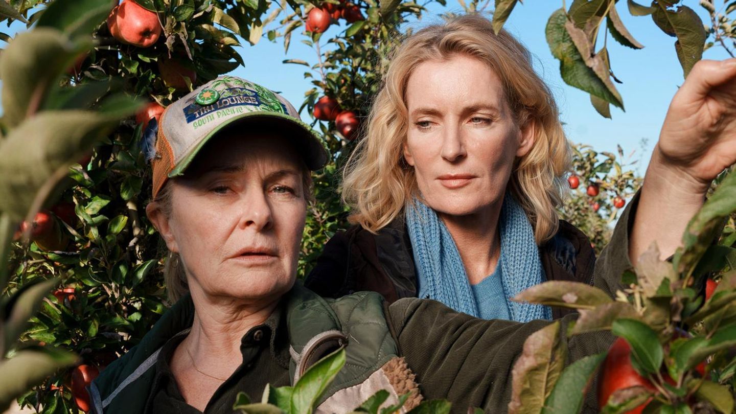 "Tatort" aus Hannover: Charlotte Lindholm (Maria Furtwängler, r.) ermittelt im "Tatort: Letzte Ernte" auf dem Hof der Bäuerin Marlies Feldhusen (Lina Wendel, l.) Charlotte Lindholm (Maria Furtwängler, r.) ermittelt im "Tatort: Letzte Ernte" auf dem Hof der Bäuerin Marlies Feldhusen (Lina Wendel, l.)