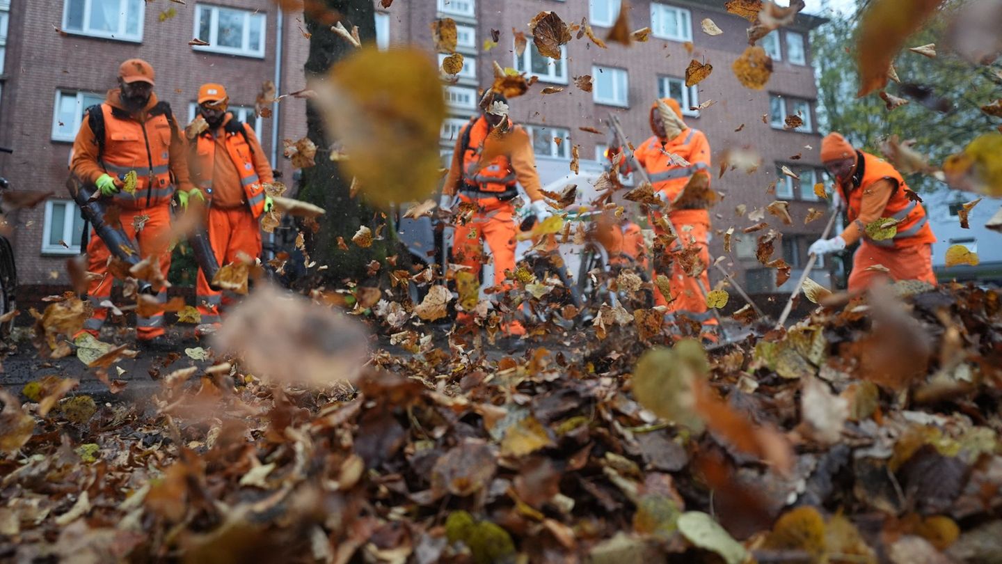 Herbstzeit ist Laubzeit. Das wissen auch die Mitarbeitenden der Hamburger Stadtreinigung. Foto: Marcus Brandt/dpa