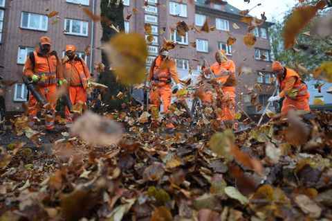 Herbstzeit ist Laubzeit. Das wissen auch die Mitarbeitenden der Hamburger Stadtreinigung. Foto: Marcus Brandt/dpa