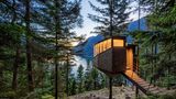 Woodnest  Baumhaushotel  Odda, Norwegen, 2020/2023  Grundfläche: 15 qm  Architekten: Helen & Hard  Kunde: Sally und Kjartan Aano  Um eine Hütte zu bauen, die nur von einem einzigen schlanken Baum getragen wird, wurde ein Stahlrohr geteilt, um den Stamm herum neu zusammengesetzt und mit vier Bolzen befestigt. Die Struktur selbst wurde außerhalb der Baustelle vorgefertigt.