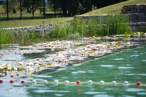 In dem von einer Quelle gespeisten Freibad wird auf den Einsatz von Chlor verzichtet. Das Naturbad wurde mit dem Spar-Euro des B