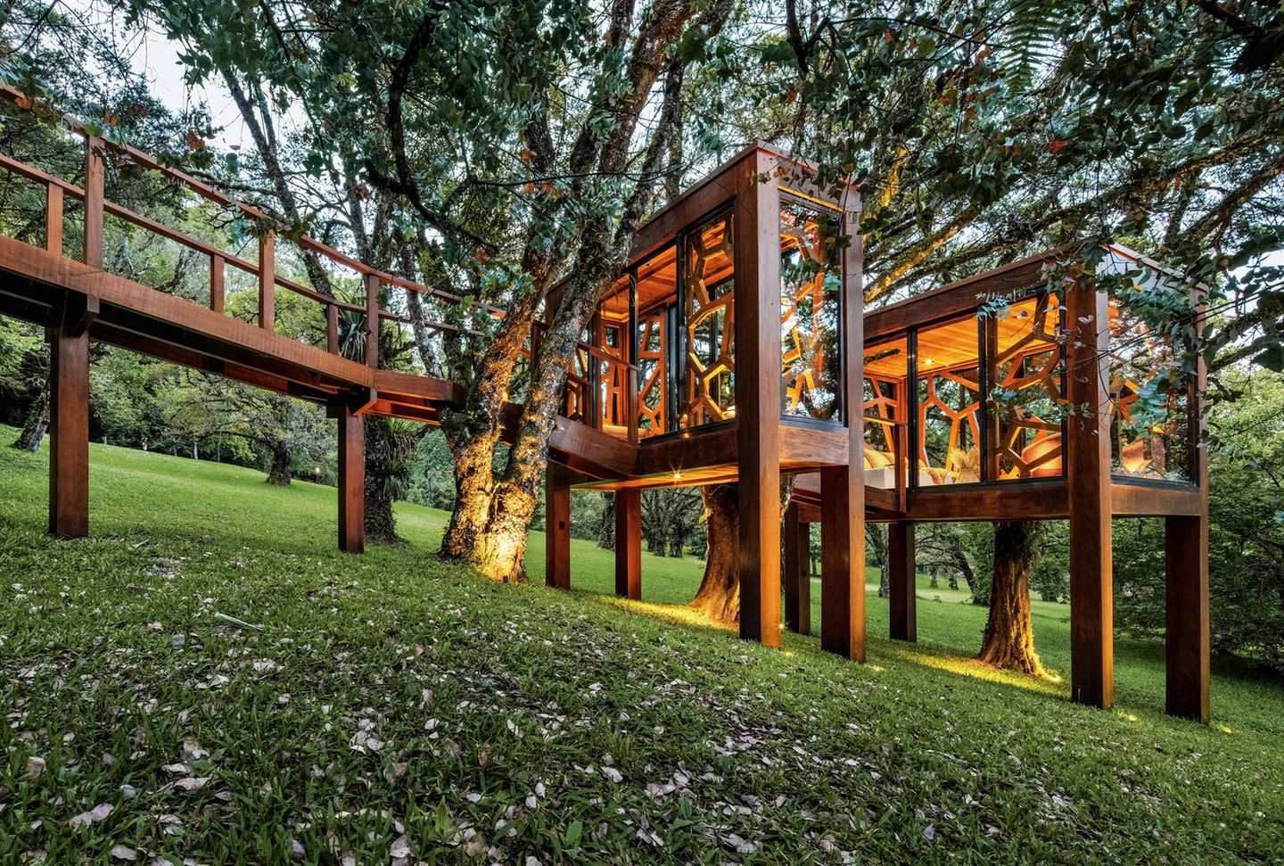 Baumhäuser Brasilien