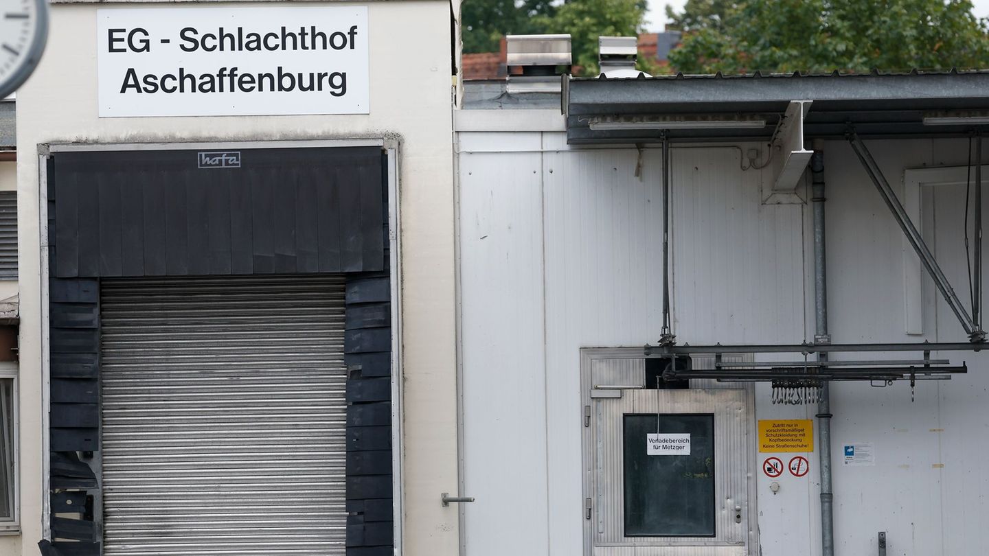 Wegen quälerischer Tiermisshandlung ermittelt die Staatsanwaltschaft Aschaffenburg gegen zehn Beschuldigte. (Archivbild) Foto: H