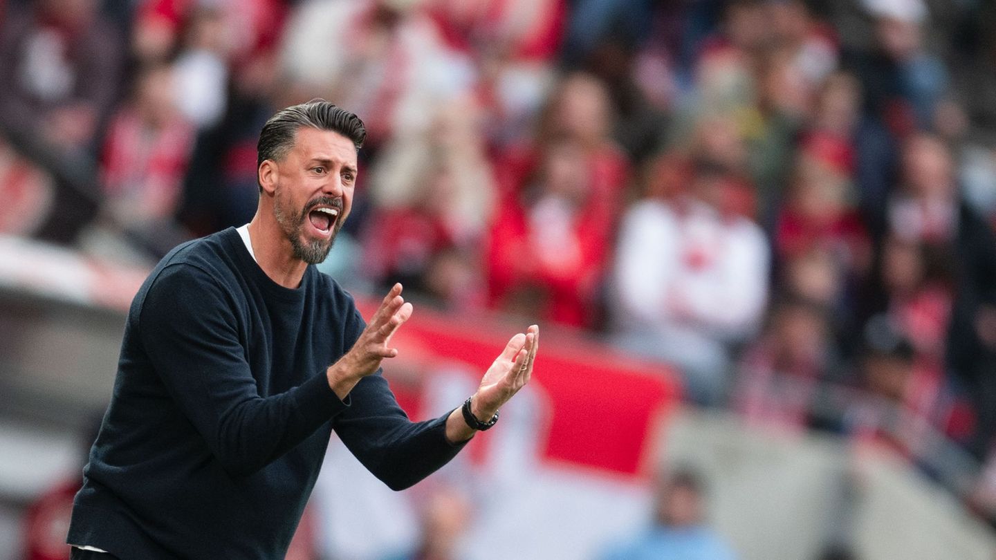 Augsburg-Trainer Sandro Wagner ist in dieser Saison bereits dreimal verwarnt worden. (Archivfoto) Foto: Marius Becker/dpa