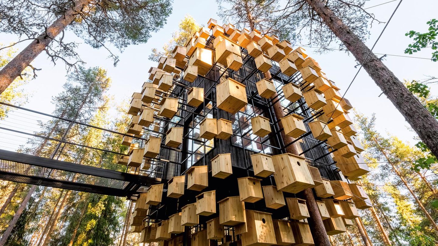 Baumhäuser