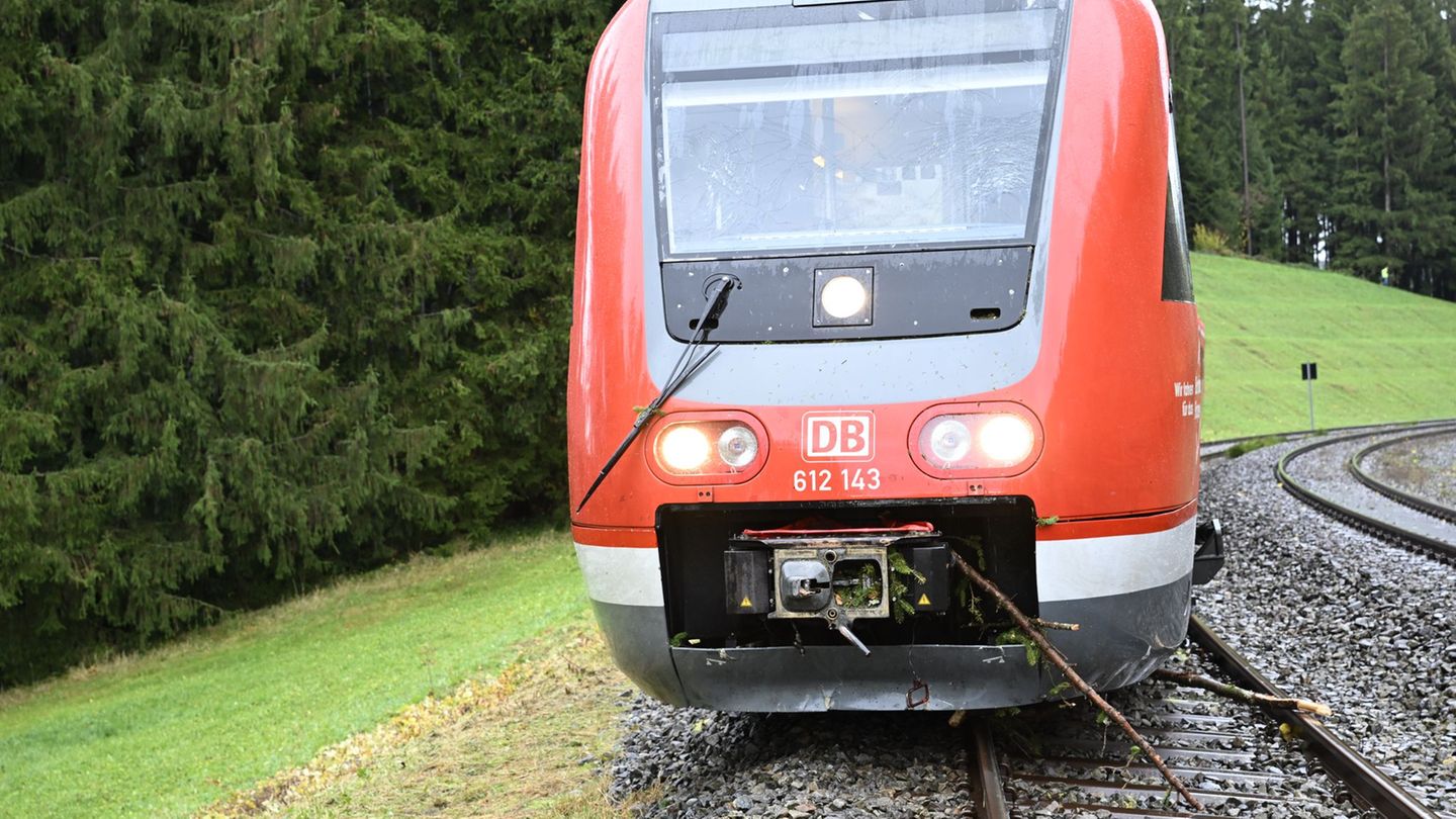 Das vordere Fahrgestell des Zuges sprang durch den Zusammenstoß aus den Gleisen. Foto: David Pichler/swd-medien/dpa