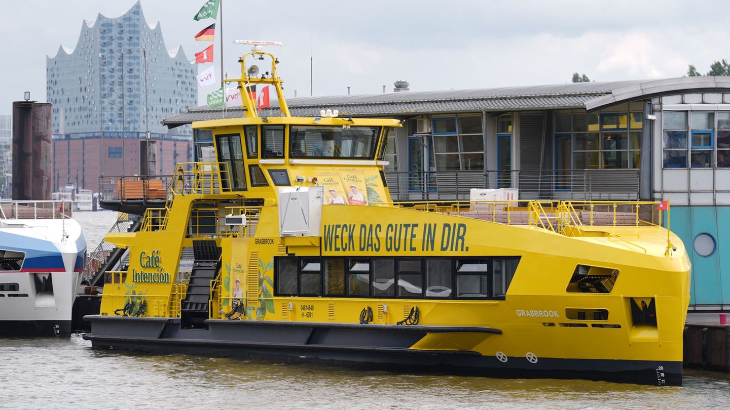 Die Hadag-Hybridfähre "Grasbrook" hat neben einem Elektroantrieb auch einen Dieselmotor. (Archivbild) Foto: Marcus Brandt/dpa