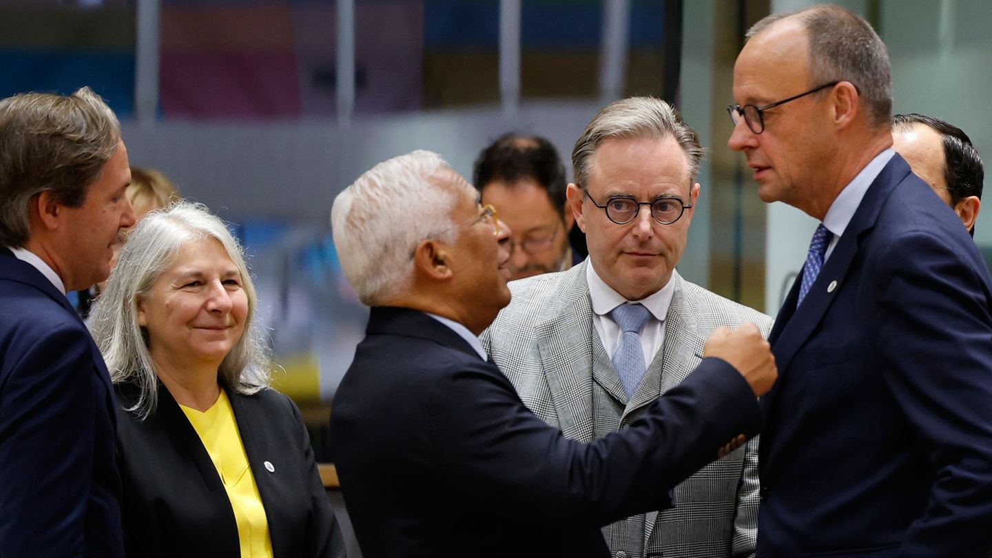 Kanzler Merz hat es beim Gipfel in Brüssel nicht leicht mit seinem Vorstoß für die Nutzung des eingefrorenen russischen Vermögen