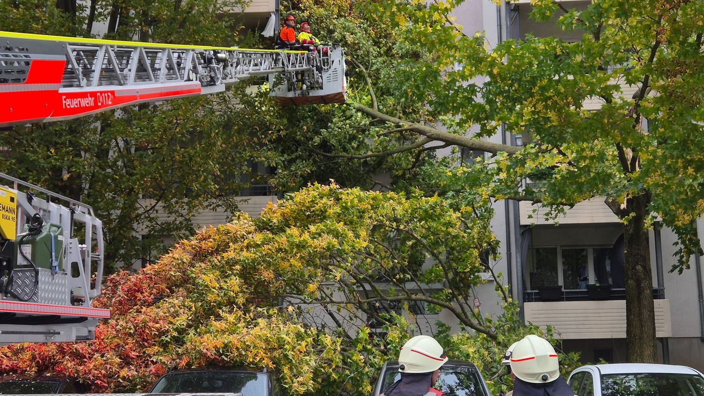 Oft musste die Feuerwehr wegen umgestürzte Bäume ausrücken. Foto: Sascha Thelen/dpa