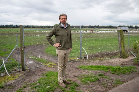 Der Betriebsleiter des Spargelhofs Kremmen, Malte Voigts, muss den Verlust seiner Gänse und Enten wegen der Vogelgrippe verkraft