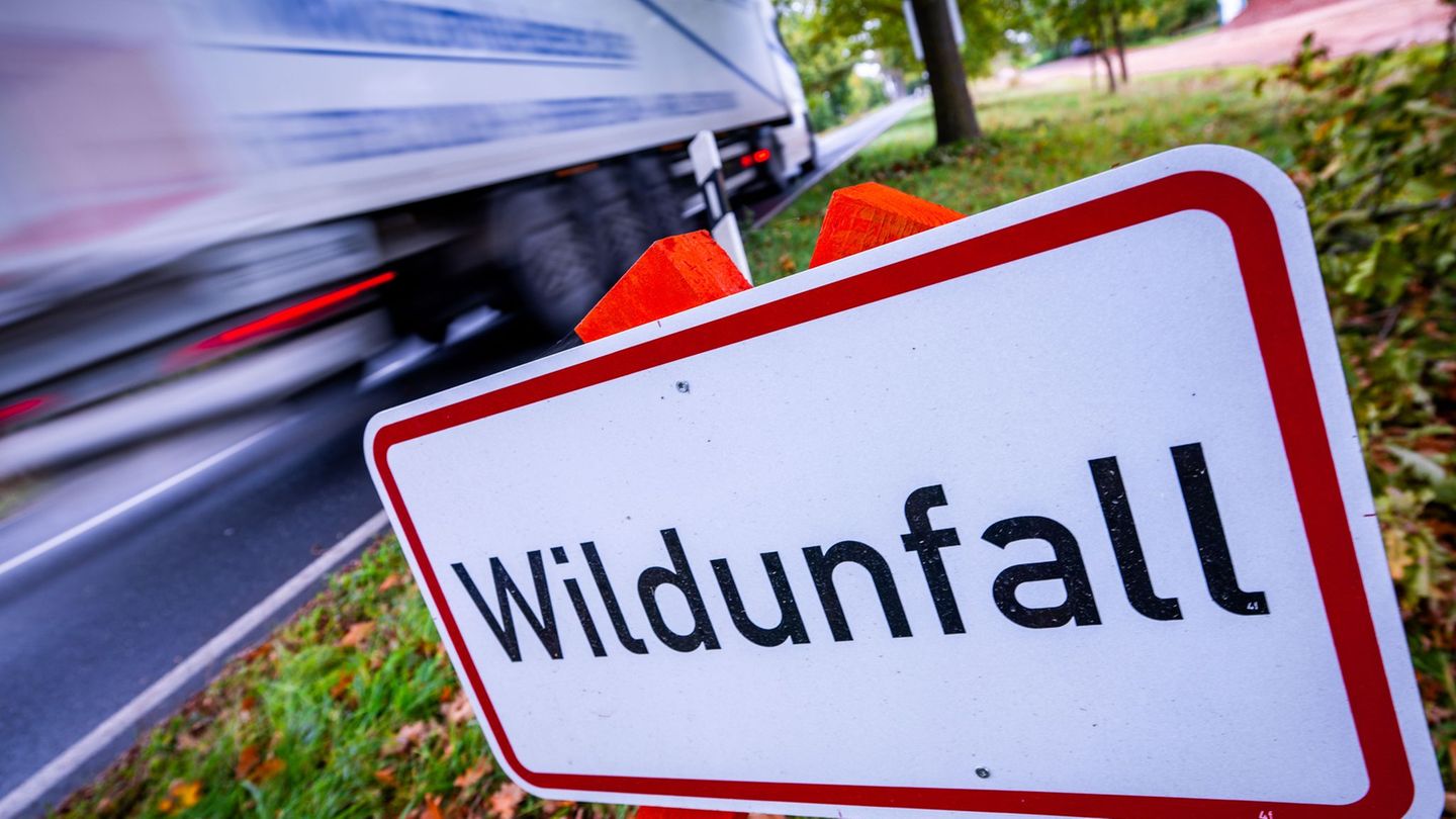 Vielerorts wird mit Schildern vor Wildunfällen gewarnt. (Symbolbild) Foto: Jens Büttner/dpa