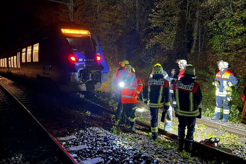 Bei dem Zusammenstoß mit einem Baum wurde kein Passagier des Zuges verletzt. Foto: Thorsten Kremers/dpa