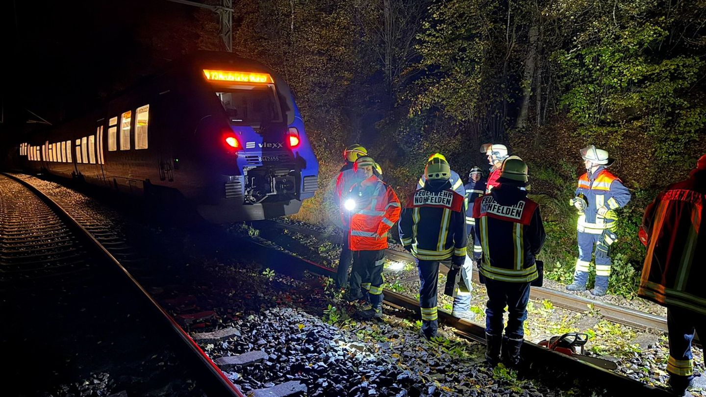 Bei dem Zusammenstoß mit einem Baum wurde kein Passagier des Zuges verletzt. Foto: Thorsten Kremers/dpa