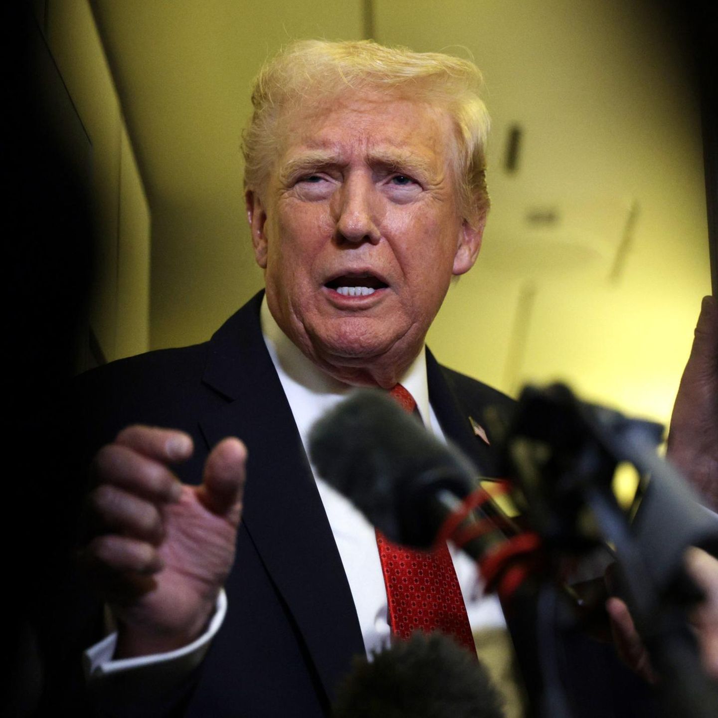 Portrait Donald Trump