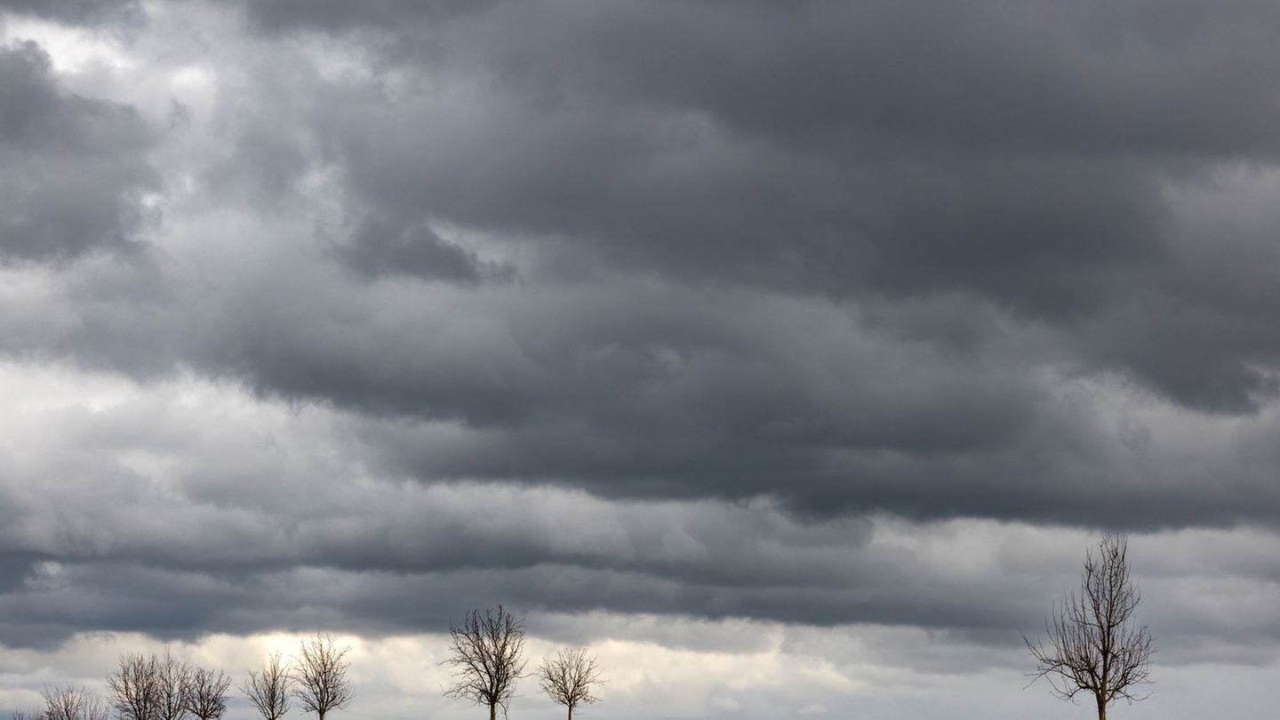 Für heute hat der DWD erneut stürmisches Wetter in Mitteldeutschland vorausgesagt. (Symbolbild) Foto: Michael Reichel/dpa-Zentra