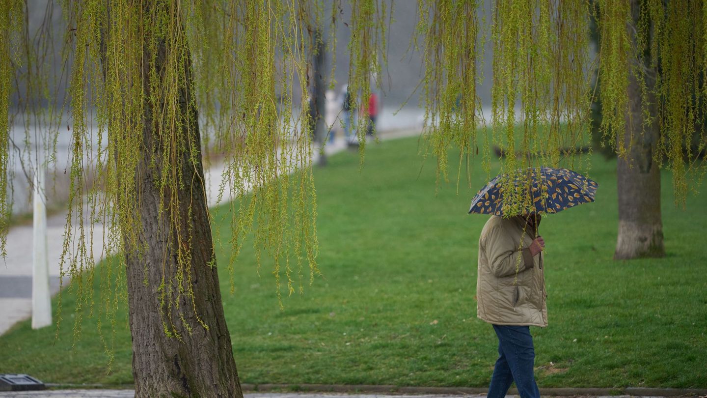 Am Wochenende soll es immer wieder regnen. (Symbolbild) Foto: Thomas Frey/dpa