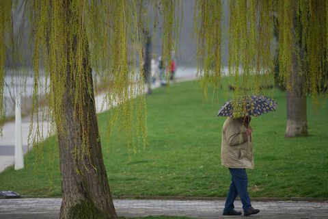 Am Wochenende soll es immer wieder regnen. (Symbolbild) Foto: Thomas Frey/dpa