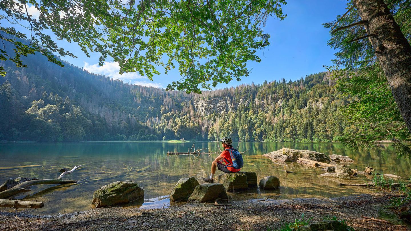 Frau am Feldsee im Schwarzwald (Symbolbild Brückentag) Frau am Feldsee im Schwarzwald (Symbolbild Brückentag)