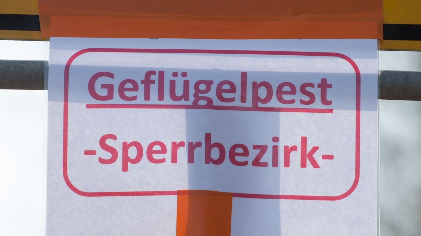 Auch bayerische Behörden warnen vor der Vogelgrippe. (Symbolbild) Foto: Armin Weigel/dpa