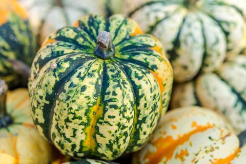 Kürbis grün weiß gelb gesprnkelt
