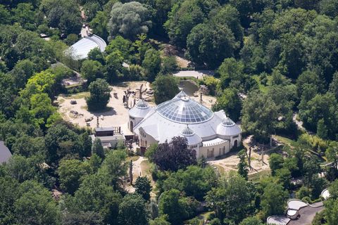 Eine Tierärztin hat die tote Giraffe im Tierpark Hellabrunn untersucht. (Archivbild) Foto: Sven Hoppe/dpa