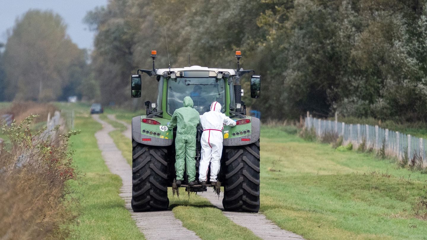 Helfer in Schutzanzügen sind zur Beseitigung toter Kraniche in der Nähe von Linum im Einsatz. Foto: Christophe Gateau/dpa