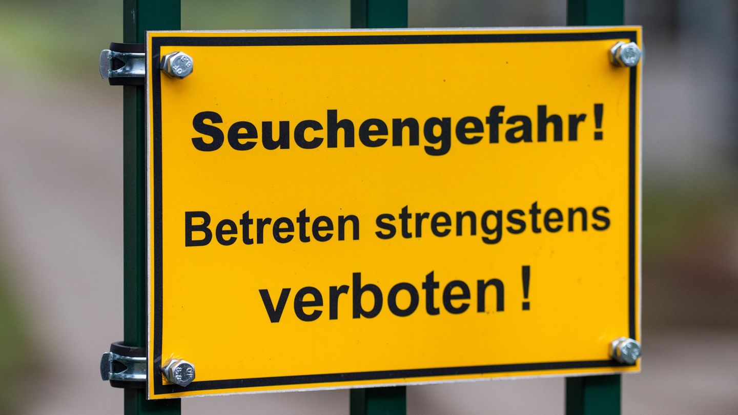 Die Vogelgrippe stürzt viele Reginoen in die Krise. Im Linumer Teichland müssen Helfer wegen der Tierseuche massenhaft tote Kran